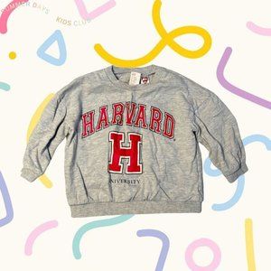 H&M baby Harvard University grey and red lightweight sweatshirt 18M